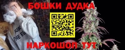 apvp Кунгур